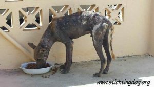 received_10206599431159369_wm