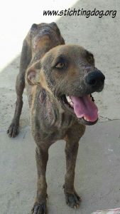 received_10206599432039391_wm