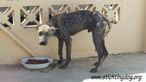 received_10206599434159444_wm