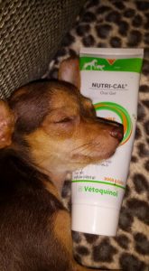 12193764_10208181465753579_8656019354553863201_n