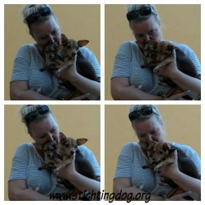 12227805_449714391887119_5421615849605787747_n