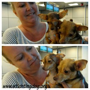 12239578_449714375220454_3239187554165105159_n