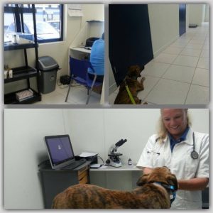 12277188_10206825965182578_2027157737_n