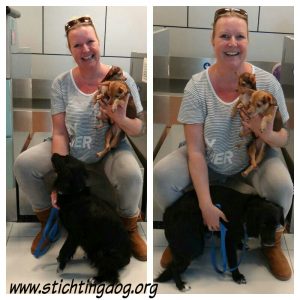 12278898_449714348553790_3190397681761445328_n