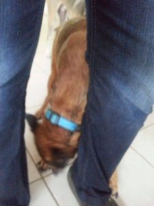 12281716_10206829518271403_1734433350_o