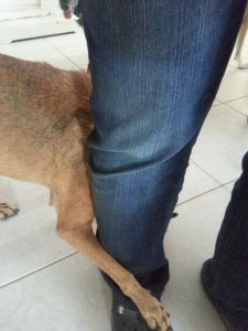 12295701_10206829518631412_870201205_o