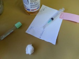 12364006_10206949031259153_1107472476_o