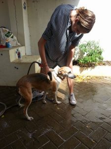 Johanneke Gehrels (2)