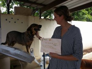 Johanneke Gehrels (3)