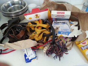 Johanneke Gehrels (7)