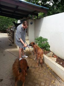 Johanneke Gehrels (8)