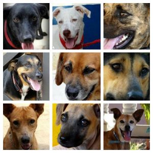 10592023_10206996403963441_982014588_n