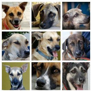 12325412_10206996403563431_659945734_n