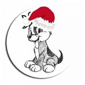 12386771_10206955910471129_1044817866_n