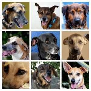 12421576_10206996404003442_802661111_n