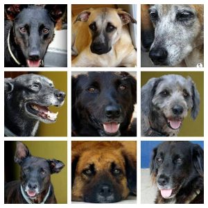 702870_10206996403923440_732680116_n