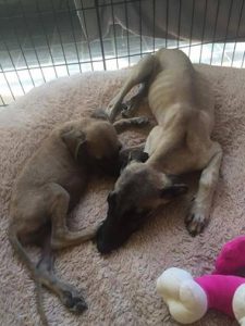 7049_965304133527054_7039311130118775032_n