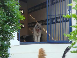 Copy of DSC06351 (Medium)