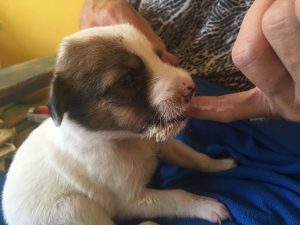 12248844_1041109082587141_1918125077_n