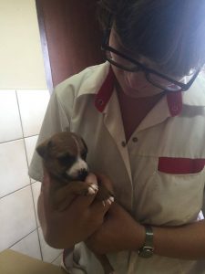 12366823_1042947359069980_1429970560_n