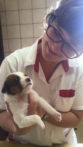 12367049_1042945752403474_289212712_n