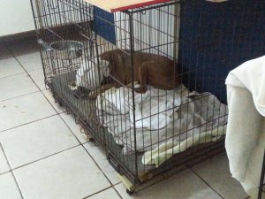 12465493_10207074035824189_1377621973_o