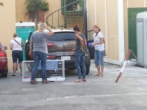 12516671_10207258663719771_683663794_o