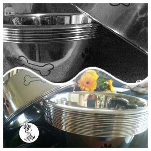 12571315_10207209534091561_2118329594_n