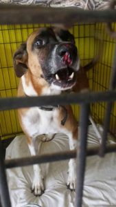 12575732_10207209522051260_1482307974_n