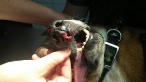 12584159_10207209515651100_1917303849_n