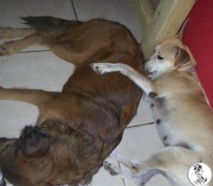 12626195_10207239302355749_1833692693_n