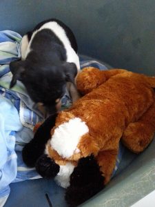 12633243_10207258664359787_150761033_o