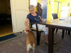 12656309_10207258664039779_344473715_o