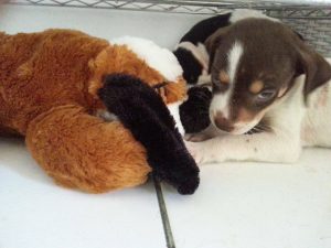 12669295_10207258664719796_728240904_o