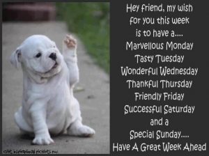 835ace389cdc02077358688fd2685c64