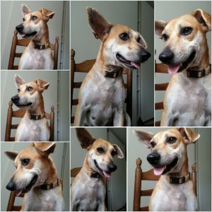 PhotoGrid_1382472547831