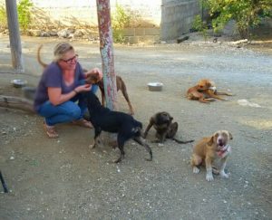 10167967_10208797598956524_6149113257388999152_n