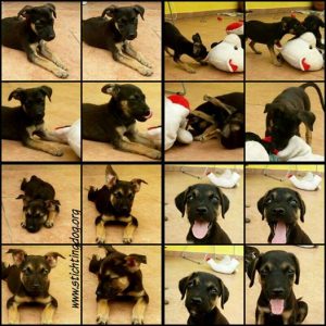 12524301_10207211913951056_1455999191463741908_n