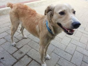 12527688_10207395867629783_842112711_n