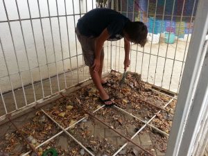 12596303_10207304309420885_1589088546_n