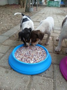 12647714_10207277941801711_2056457192_n