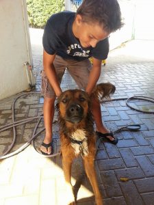 12666271_10207304311180929_961118706_n