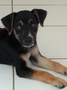 12666312_10207304605508287_910123400_n