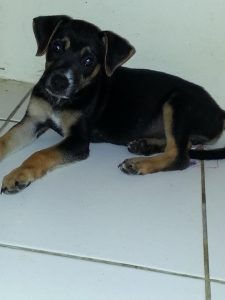 12666472_10207326823063712_31573650_n