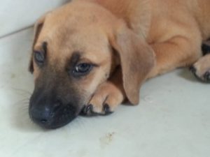 12674399_10207326822823706_1940759652_n