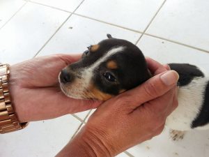 12674541_10207265723456260_578259791_n