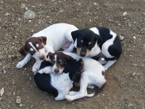 12714013_10207338961567167_1976287323_n