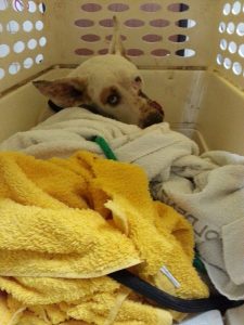 12714289_10207304331821445_898341228_n