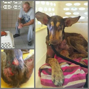 12715254_10208817942505100_5142555008996120977_n