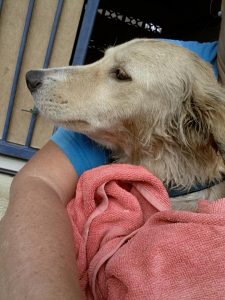 12721854_10207395868629808_841192062_n